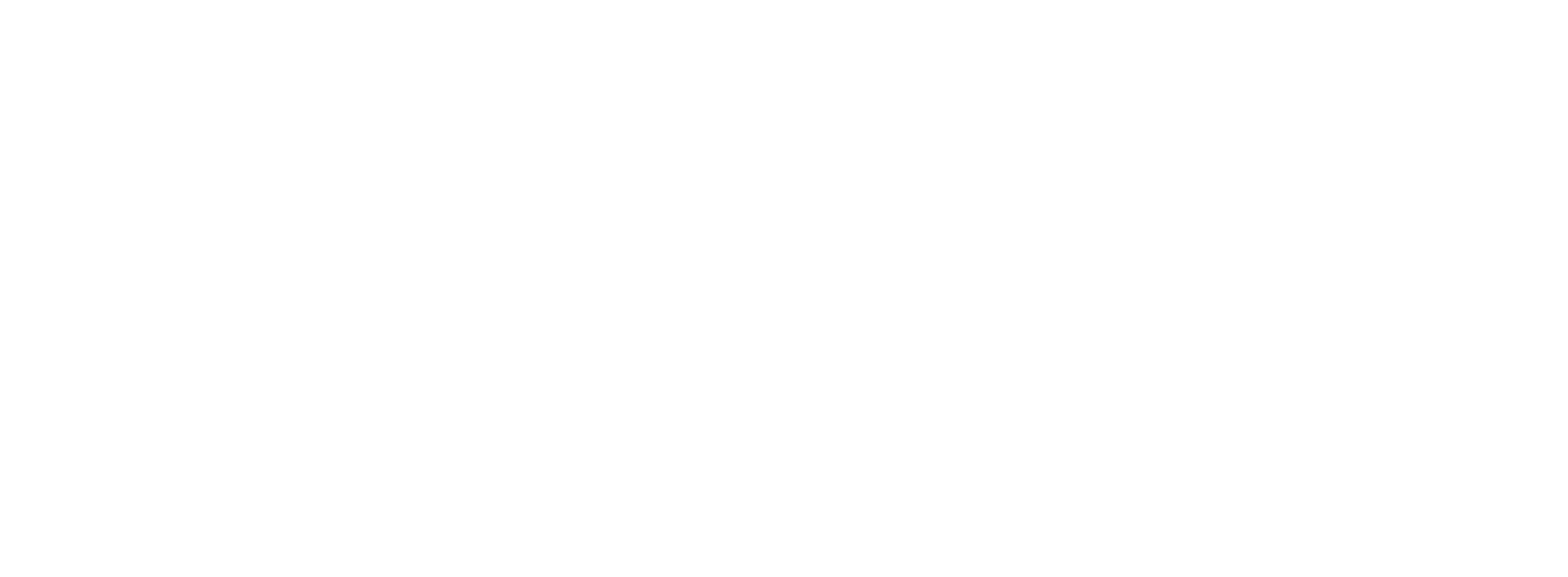 Pernodn Ricard-white